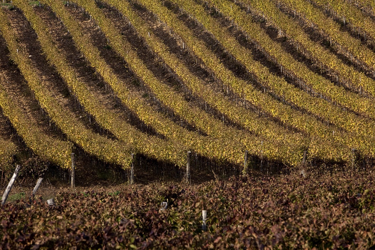 Aglianico Del Vulture Superiore Docg Paesi Del Gusto