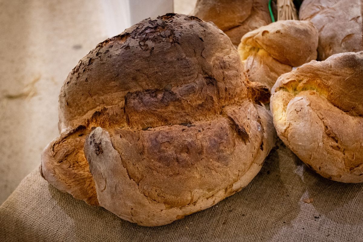 La Cittadina Del Pane Dop D Italia Ed Un Posto Bellissimo Che