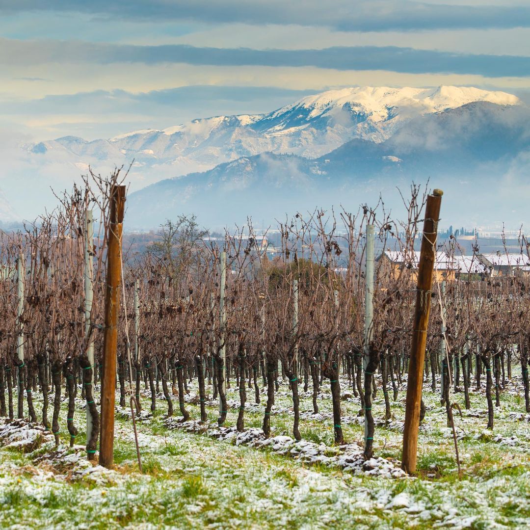 Itinerari Franciacorta Mappe E Cantine Per Le Vie Del Vino